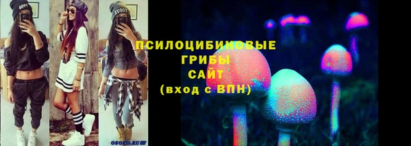 ГАЛЛЮЦИНОГЕННЫЕ ГРИБЫ Алзамай