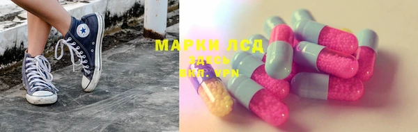 ГАЛЛЮЦИНОГЕННЫЕ ГРИБЫ Алзамай
