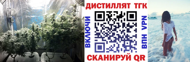 ТГК Wax как найти наркотики Чистополь