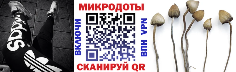 Галлюциногенные грибы мицелий  shop клад  Чистополь  дарнет шоп 